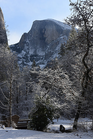 DSC_3468