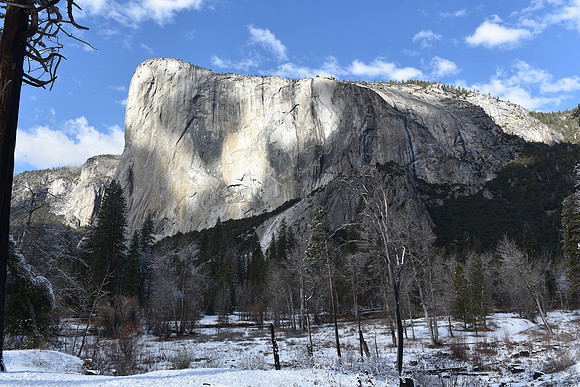DSC_3619